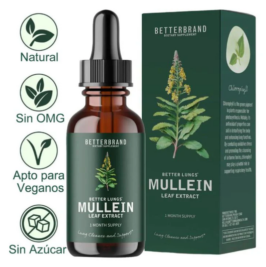 🌿 Mullein Leaf Extract – Limpieza Pulmonar Natural 🌬️